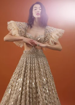 Champagne Gold Angelic Net Gown With Mirror Work And Ruffle Sleeves - NOOR 2022