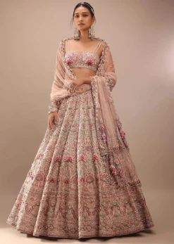 Charm Pink Rumi Lehenga Set With Matching Crop Top In 3D Flower Motifs And Abla Embroidery