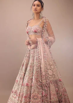 Charm Pink Rumi Lehenga Set With Matching Crop Top In 3D Flower Motifs And Abla Embroidery