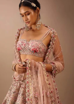 Charm Pink Rumi Lehenga Set With Matching Crop Top In 3D Flower Motifs And Abla Embroidery