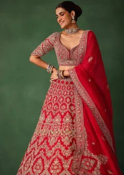 Cherry Red Hand Embroidered Raw Silk Lehenga Set With Net Dupatta