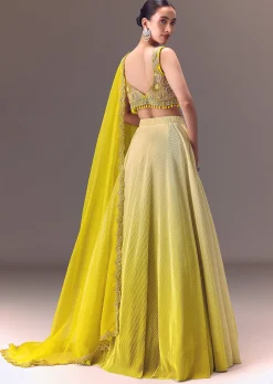 Citrus Green Ombre Crushed Lehenga Set With Organza Dupatta