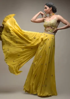 Citrus Jumpsuit In Crepe With Front Cut Out And Zardozi Embroidered Floral Jaal