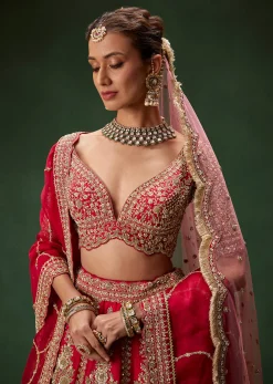Classic Red Bridal Lehenga With All Over Zari And Dori Embroidery