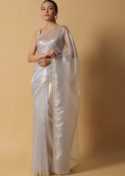 Cloud Grey Foil Saree In Tissue With Cut Dana Embroidered Borders