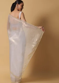 Cloud Grey Foil Saree In Tissue With Cut Dana Embroidered Borders