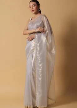 Cloud Grey Foil Saree In Tissue With Cut Dana Embroidered Borders