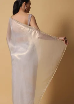 Cloud Grey Foil Saree In Tissue With Cut Dana Embroidered Borders