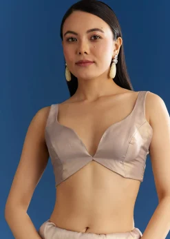 Cloud Grey Organza Tissue Saree With Embellished Border