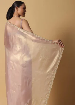 Copper Brown Foil Saree In Tissue With Cut Dana Embroidered Borders