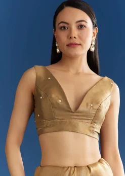 Copper Brown Organza Tissue Saree With Beaded Border