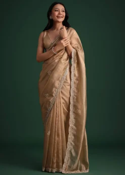 Copper Tissue Saree With Cutdana And Stone Embroidery