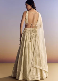 Cream White Banarasi Lehenga Set With Cut Dana Choli