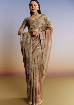 Dark Brown Jacquard Tissue Saree With Zigzag Zardosi Border
