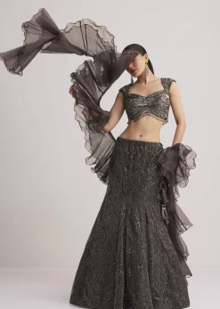 Dark Brown Sequins Mermaid Lehenga Set