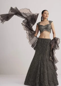 Dark Brown Sequins Mermaid Lehenga Set