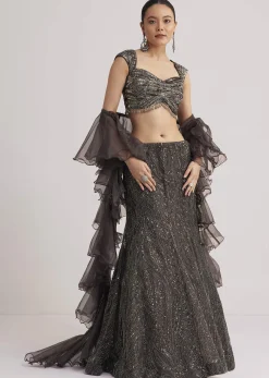 Dark Brown Sequins Mermaid Lehenga Set