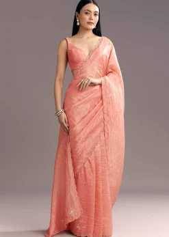 Dark Peach Crushed Tissue Embroidered Saree With Scallop Border