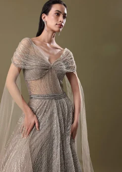 Dusty Beige Embroidered Gown With Cowl Sleeves And Wings