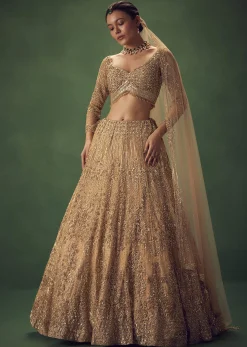 Dusty Gold Sequin Work Lehenga Set
