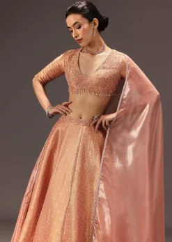 Dusty Peach Banarasi Silk Hand Work Lehenga Set