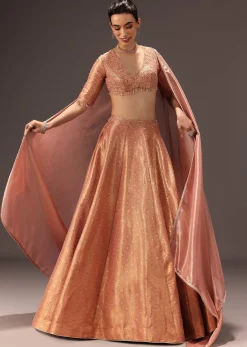 Dusty Peach Banarasi Silk Hand Work Lehenga Set