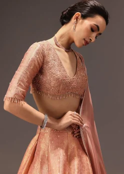 Dusty Peach Banarasi Silk Hand Work Lehenga Set