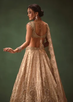 Dusty Pink Brocade Hand Embroidered Bridal Lehenga With Two Dupattas