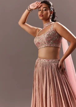 Dusty Pink Ruching Lehenga With Embroidered Blouse And Choker Dupatta