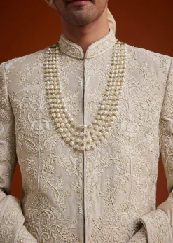 Faun Sherwani Set With Dori And Resham Work