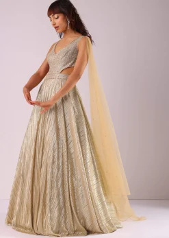 Glam Gold Embroidered Gown In Knit Fabric With Net Trail Wings