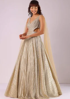 Glam Gold Embroidered Gown In Knit Fabric With Net Trail Wings