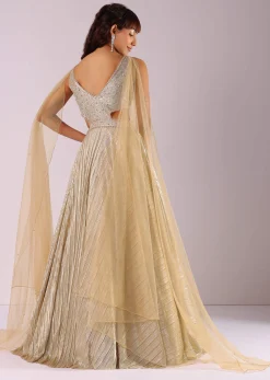 Glam Gold Embroidered Gown In Knit Fabric With Net Trail Wings