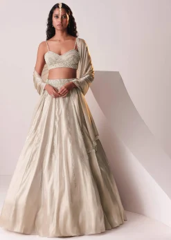 Glam Silver Embroidered Lehenga Set In Organza