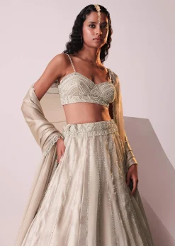 Glam Silver Embroidered Lehenga Set In Organza