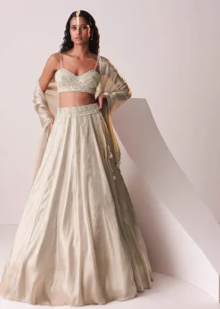 Glam Silver Embroidered Lehenga Set In Organza
