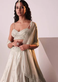 Glam Silver Embroidered Lehenga Set In Organza