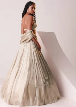 Glam Silver Embroidered Lehenga Set In Organza