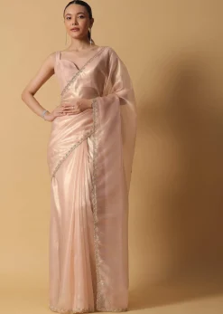 Gold And Brown Toned Saree In Tissue With Cut Dana Embroidered Borders