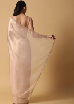 Gold And Brown Toned Saree In Tissue With Cut Dana Embroidered Borders