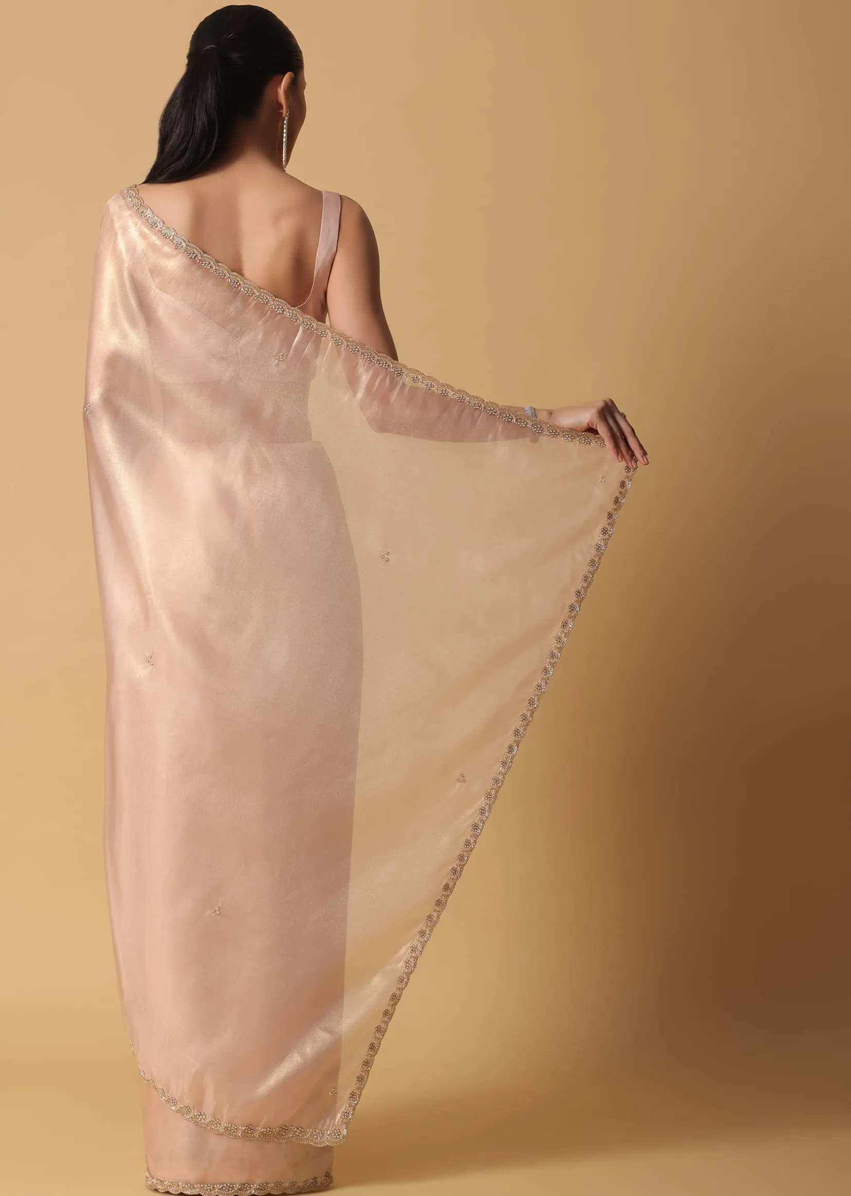 Gold And Brown Toned Saree In Tissue With Cut Dana Embroidered Borders