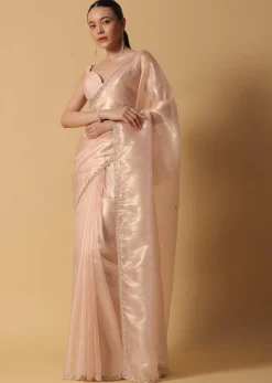 Gold And Brown Toned Saree In Tissue With Cut Dana Embroidered Borders