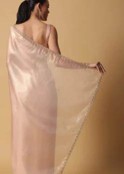 Gold And Brown Toned Saree In Tissue With Cut Dana Embroidered Borders