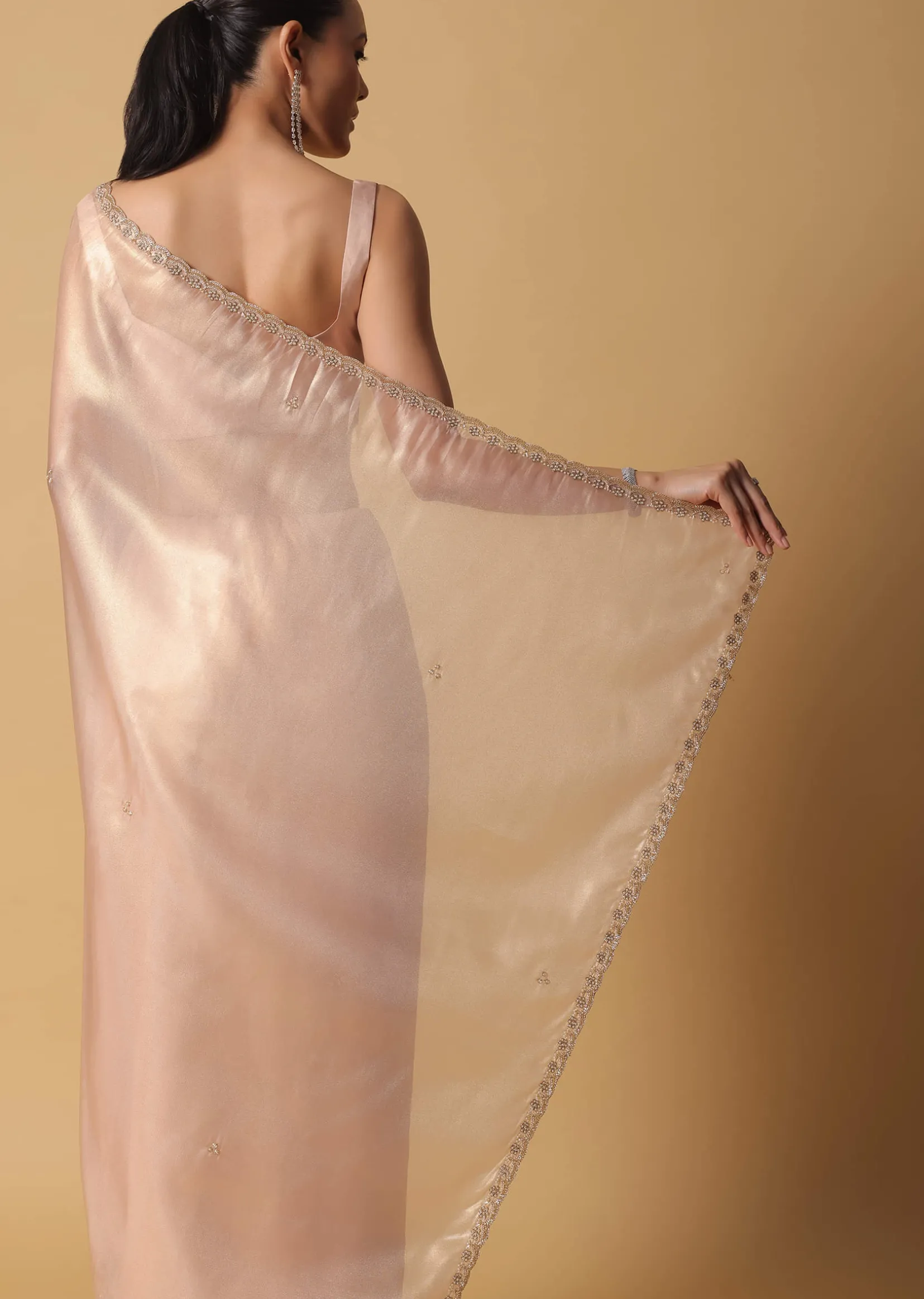 Gold And Brown Toned Saree In Tissue With Cut Dana Embroidered Borders