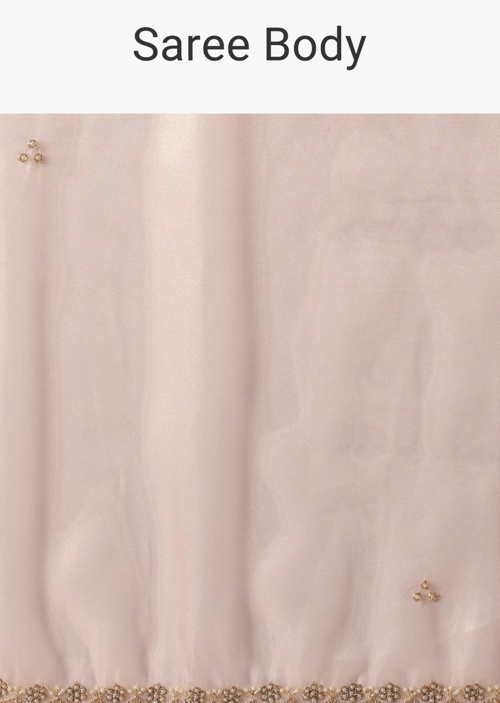 Gold And Brown Toned Saree In Tissue With Cut Dana Embroidered Borders