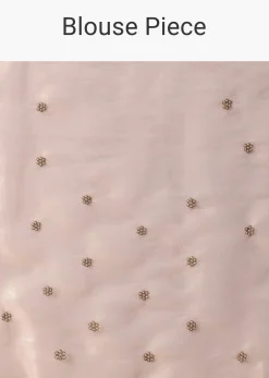Gold And Brown Toned Saree In Tissue With Cut Dana Embroidered Borders