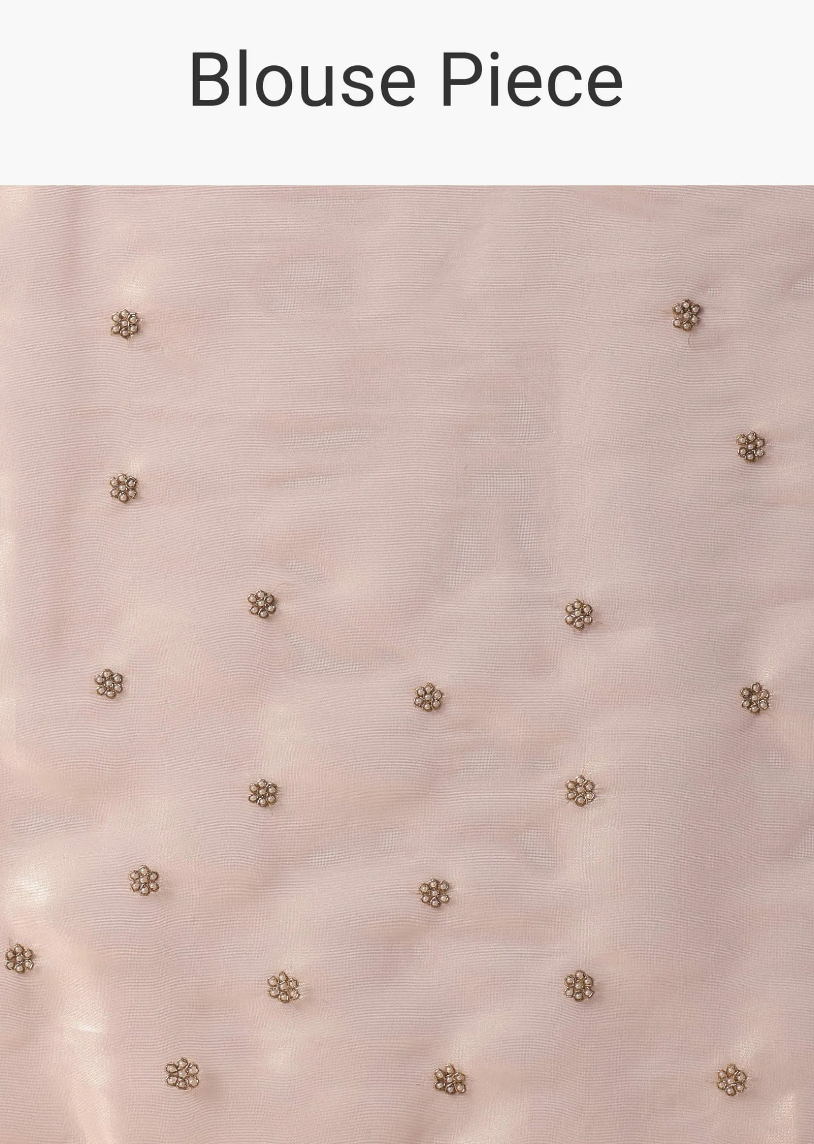 Gold And Brown Toned Saree In Tissue With Cut Dana Embroidered Borders