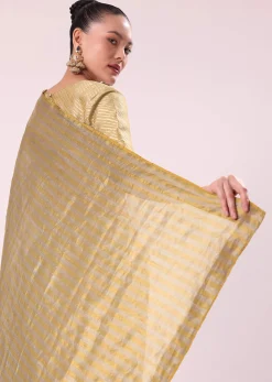 Gold Chanderi Tissue Saree With Pipe Finish Stitched Blouse