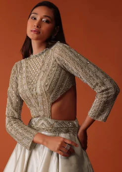 Gold Embroidered Western Bridal Gown In Organza With Shoulder Wings