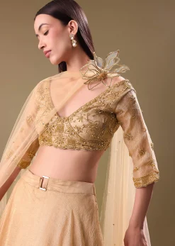Gold Hand Embroidered Tissue Lehenga And Blouse With Dupatta